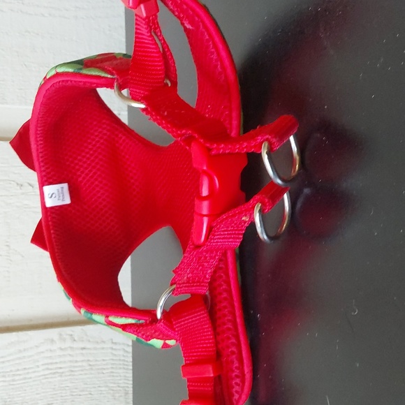 Holiday harness - Picture 5 of 5